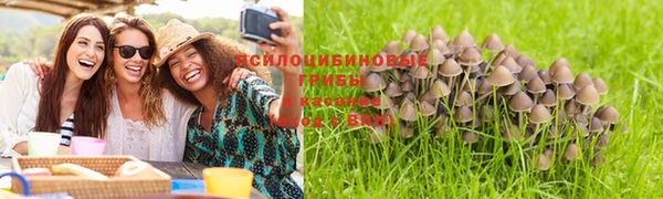 каннабис Нефтекумск